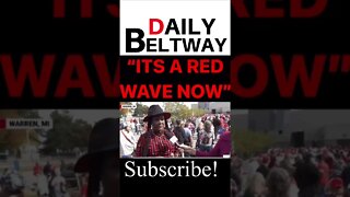 #redwave #2022 #trump #news #politics #patriotic #usa #america #viral #shorts #shortsvideo