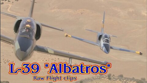 L-39 "Albatros" Raw Jet Flight Footage
