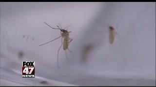 West Nile Virus confirmed in Macomb Co., residents urged to take caution