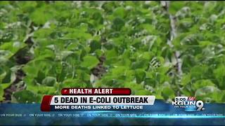 5 dead, nearly 200 sickened in romaine lettuce outbreak