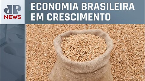 Exportações do agronegócio batem recorde em agosto