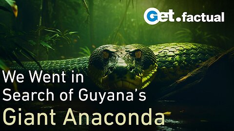 How we found a Giant Anaconda in Guyana | Wildlife Documentary