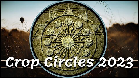 Stunning Crop Circle Reveals The New Paradigm - Todd Bryson
