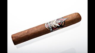 Oliva Vindicator Robusto Cigar Review