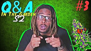 Q&A | In The Garden | Season 2 Episode 3