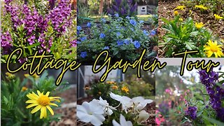 Cottage Garden Tour Zone 9b | Florida Cottage Garden | Florida Garden Tour & Garden Plans