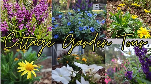 Cottage Garden Tour Zone 9b | Florida Cottage Garden | Florida Garden Tour & Garden Plans