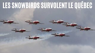 Les Snowbirds ont commencé leur passage au Québec et c'est impressionnant