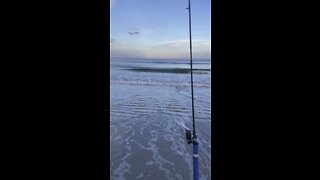 Surf fishing