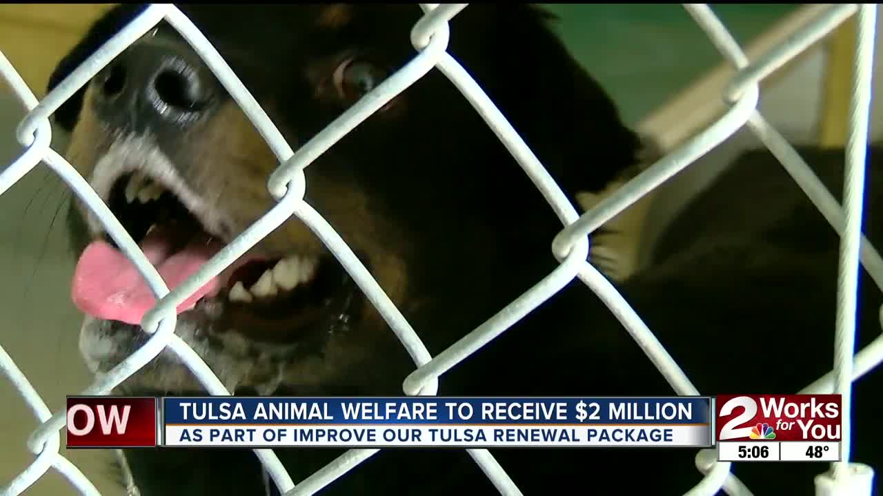 Tulsa Animal Welfare Shelter getting extra funding