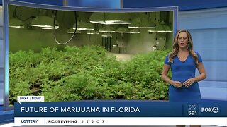 No legal recreational marijuana vote in Florida in 2020