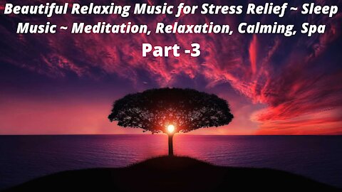 Beautiful Relaxing Music for Stress Relief ~ Sleep Music ~ Meditation, Relaxation, Calm, Spa, Part 3