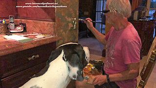 Great Danes Watch Artist Faux Paint A Light Switch To Blend With Wallpaper