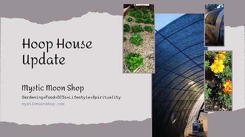 Hoop House Update - Gardening & Seed Starting