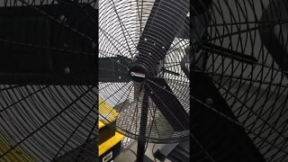 central machinery large fan from harbor freight