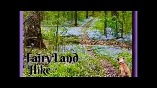 Hike Little Lost Creek in Warren county Missouri - Spring 2021