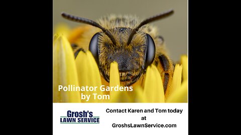 Pollinator Garden Maryland Landscape Company