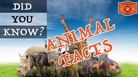 🐻🦌 5 Incredible Facts About America's Majestic Wildlife!