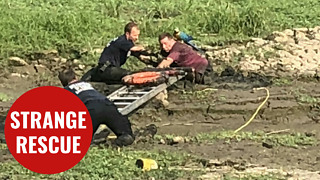 Firefighters rescue man and his parrot who had sunken into mud like ‘quicksand’