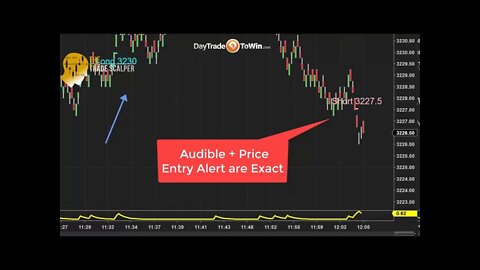 New Traders Love This Strategy Easy To Follow Signals