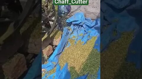 #Chaff_Cutter #Dairy_Farm #Cutting_Machine #Kadba_Kutti