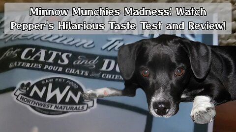 Minnow Munchies Madness: Watch Pepper's Hilarious Taste Test and Review!