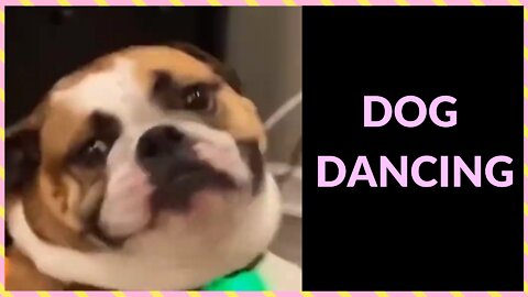 DOG DANCING
