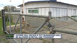 Voters will decide if pot businesses will be allowed in Royal Oak Township