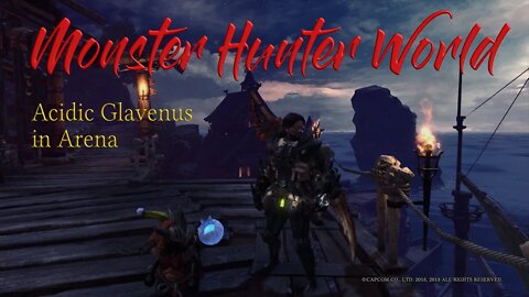 MHW Acidic Glavenus in Arena