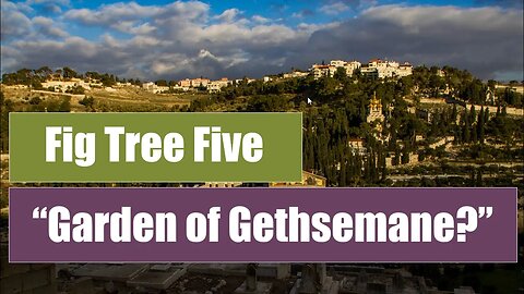 Is there a "Garden of Gethsemane?" - Fig Tree Five