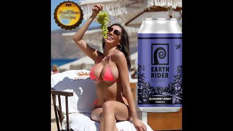 Blueberry Honey Cream Ale from Earth