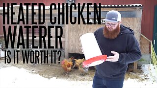 Keep Chicken Water From Freezing - A Heated Chicken a Waterer Review