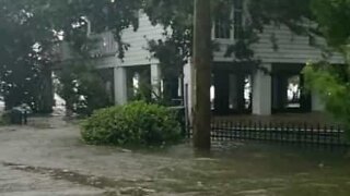 Hurricane Barry causes flood havoc in USA