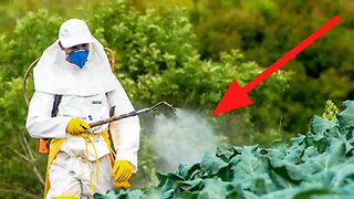 If You Think Organic Produce Is Pesticide Free, You Might Wanna See This..