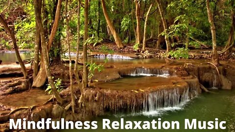 Mindfulness Meditation / Relaxing Music / Calm The Mind