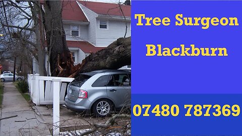 Tree Surgeon Blackburn Tree Trimming Stump & Root Removal 24hr Services Commercial & Residential