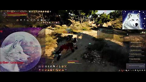 Black Desert Online Guardian Gameplay