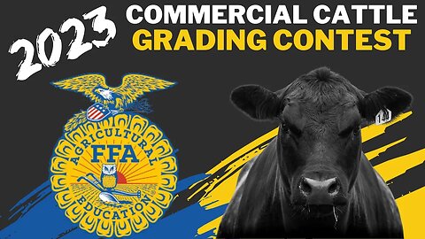 2023 FFA Commercial Cattle Grading Contest