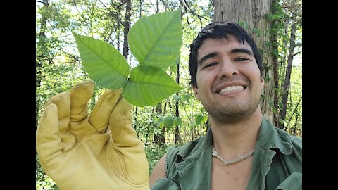 How to Identity Poison Ivy - I Prove it on my Leg!