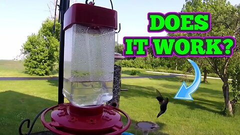 This Feeder Brings All The Humming Birds To The Yard!