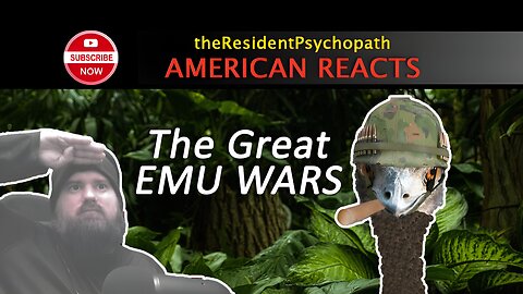 American Reacts to The Great Emu Wars
