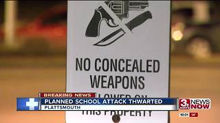 Planned school attack thwarted