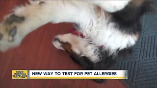 New allergy test at Cleveland Clinic shows specific animal allergies