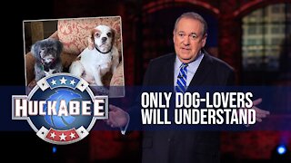 Only Dog-Lovers Will Understand | Huckabee