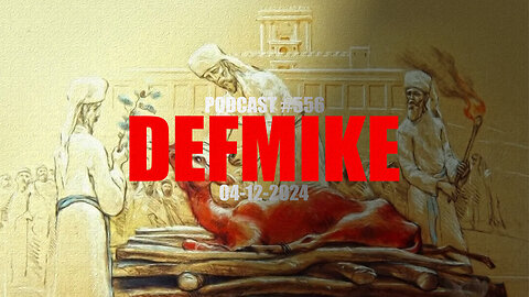 04.12.24 DEFMIKE RED HEIFER #556
