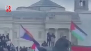 Pride Flag Doesn't Last Long At Pro Palestine Rally