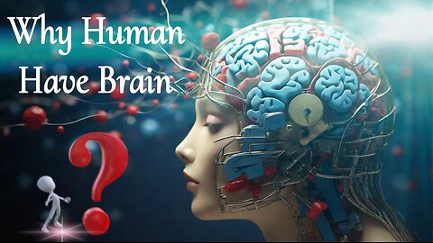 Why human have brain ?