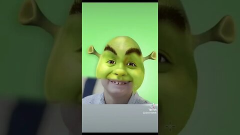 Turn me into shrek