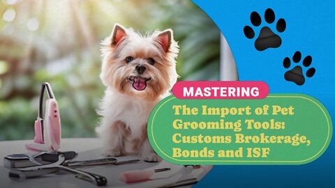 Navigating the Customs Maze: Importing Pet Grooming Claw Trimmers into the USA