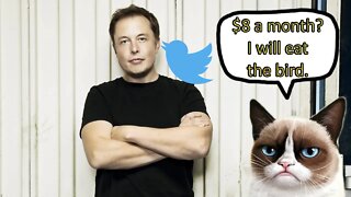 This Liberal Is Happy Elon Musk Is The CEO Of Twitter